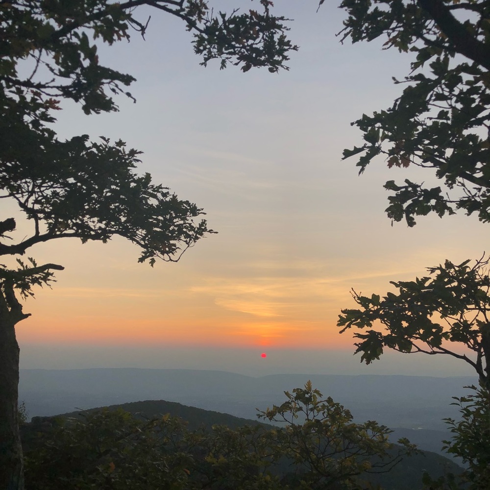 Meet your Posher, Evangeline